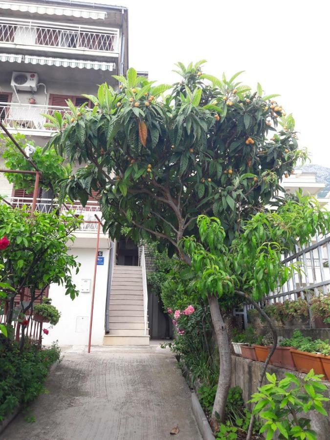 Apartman Adriatic Pavlinovic - Макарська Екстер'єр фото