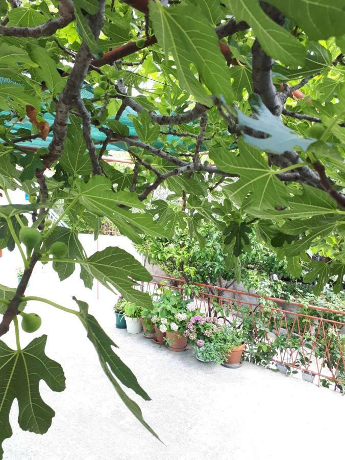 Apartman Adriatic Pavlinovic - Макарська Екстер'єр фото